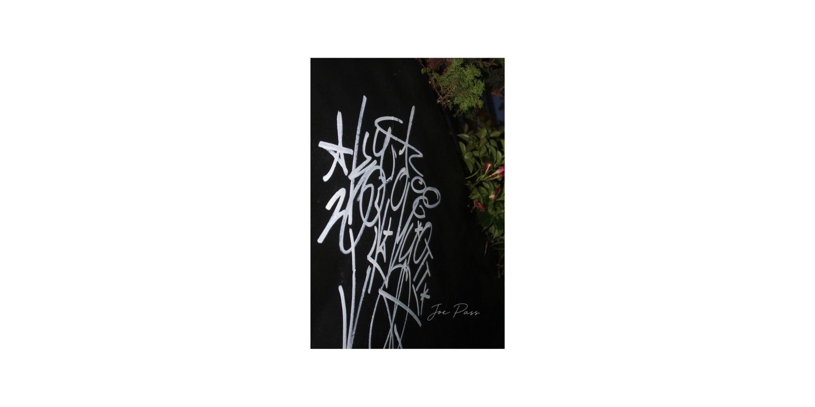 White abstract graffiti lettering on a dark urban surface beside green foliage.