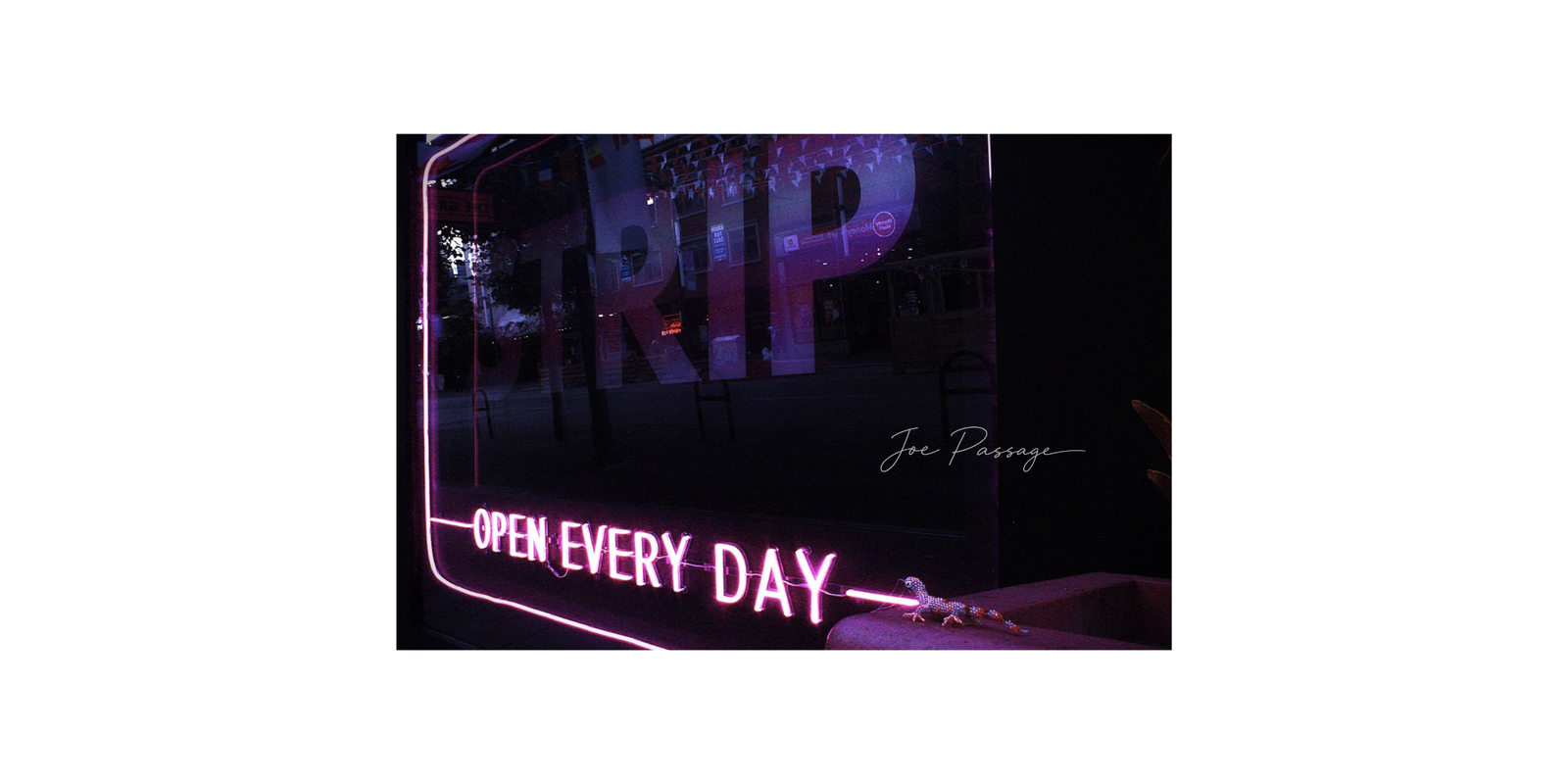 Neon Open Every Day sign reflected in a dark storefront window with a small lizard below.